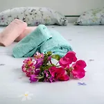 Appartamento Sogno Marino
