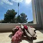 Maremma Holidays:La Vecchia Vineria