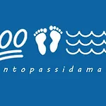 Centopassidamare