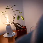La Vie De Boheme