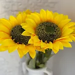 Attico Girasole