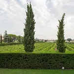 I Vini Del Cavaliere