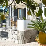 B&B Vesuvian Stone