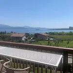 The View