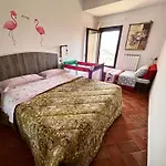Pink Flamingo Accomodation