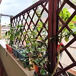 Euforbia House
