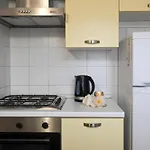 Inn Pisa Rentals - Rustic Style Flat