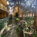 Buddy Apartment