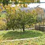 Il Gelsomino