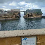 Gaiola N 7