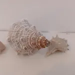 In Vacanza A Gaeta - Marinella