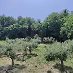 Acquaviva