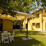 Il Gelso Di Francesco - N4