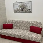 Casa Flower