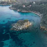 Venere Paolina - Goelba