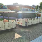 Lucerna