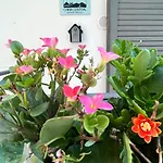 Chiaia Central Apartment Napoli