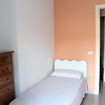 Uno Spettacolo Della Natura