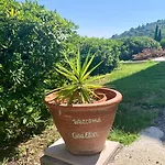 Casa Elisa