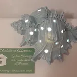 Il Vicoletto Al Cisternone