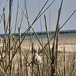 Appartamento Velvet Beach