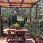 La Merla Del Tasso
