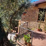 La Merla Del Tasso