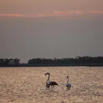 Lido di Spina Flat con Vista Pineta e Spiaggia