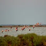 Lido di Spina Flat con Vista Pineta e Spiaggia