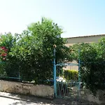 Bougainvillea