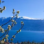 Agriturismo L'Uliveto