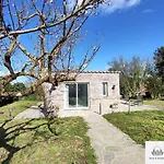 Gaia'S House