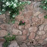 Panoramica Flat