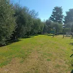 The Magic House With Garden