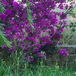Casa Vacanze Giulienso