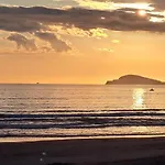 Mela Verde