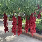 B&B Caput Mundi-Calabria