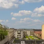 Arcobaleno Trieste Via Udine 19