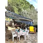 Giglio Felice