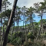 Appartamenti Maremaremma