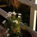 Residenza B&B Vistamare