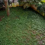 Il Gelsomino-Terrazza E Park