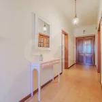 Casa Federica - Goelba