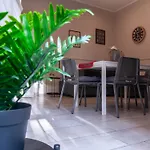 Stella Apartment