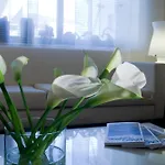Hotel Desenzano