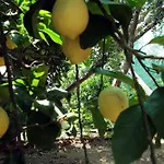Agriturismo Nonno Luigino