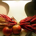 Caracciolo 10