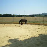 Conero Ranch