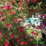 B&B Desenzano