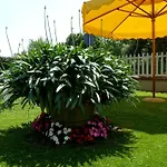 Hotel Versilia